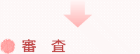 審査